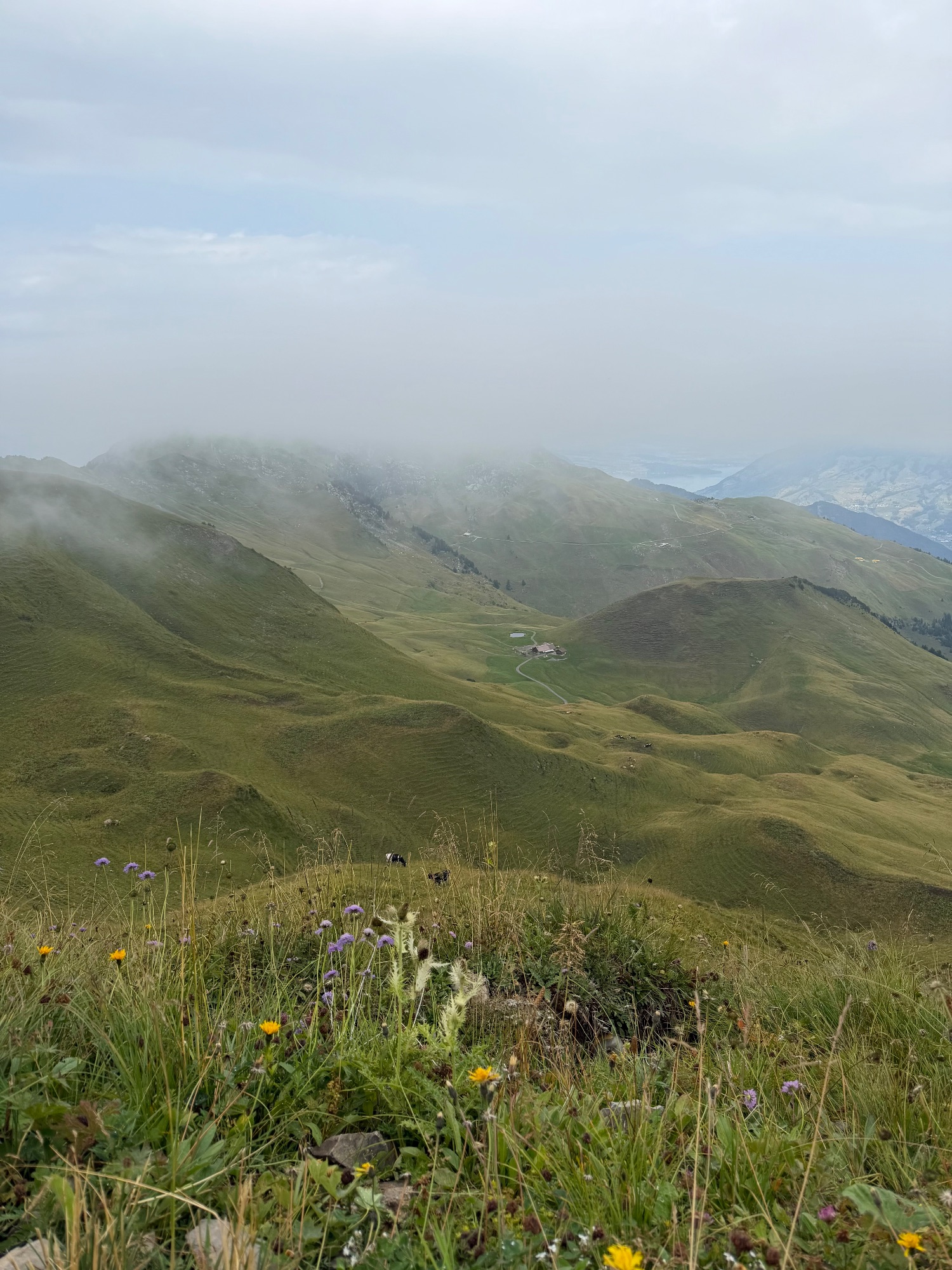 Fronalpstock